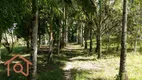 Foto 6 de Fazenda/Sítio com 2 Quartos à venda, 54000m² em Zona Rural, Juquiá