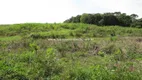 Foto 14 de Fazenda/Sítio com 2 Quartos à venda, 100000m² em Maraporã, Cachoeiras de Macacu