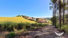 Foto 4 de Lote/Terreno à venda, 36626m² em Brigadeiro Tobias, Sorocaba