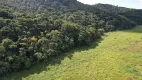 Foto 47 de Fazenda/Sítio com 20 Quartos à venda, 3732000m² em Ipiabas, Barra do Piraí