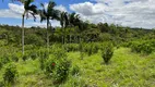 Foto 21 de Fazenda/Sítio com 5 Quartos à venda, 484000m² em Centro, Pariquera-Açu