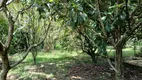 Foto 31 de Fazenda/Sítio com 3 Quartos à venda, 326m² em Ratones, Florianópolis
