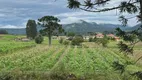 Foto 5 de Fazenda/Sítio à venda, 44000m² em Zona Rural, Urubici