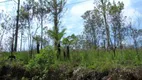 Foto 4 de Lote/Terreno à venda, 7350m² em Represa, Ribeirão Pires