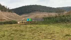 Foto 16 de Fazenda/Sítio com 1 Quarto à venda, 222m² em Zona Rural, Rio Casca