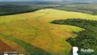 Foto 8 de Fazenda/Sítio à venda, 2521m² em Zona Rural, Lagoa do Tocantins