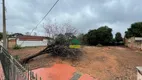 Foto 4 de Lote/Terreno à venda, 600m² em Vila Mendonça, Araçatuba