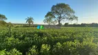 Foto 25 de Fazenda/Sítio com 1 Quarto à venda, 31m² em Zona Rural, Paraopeba