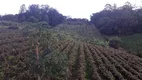 Foto 2 de Fazenda/Sítio com 4 Quartos à venda, 200m² em Caixa d Agua, Vinhedo