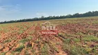 Foto 16 de Fazenda/Sítio à venda em Setor Central, Nova Glória