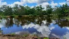 Foto 4 de Fazenda/Sítio à venda em Zona Rural, Araguainha