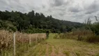 Foto 5 de Fazenda/Sítio com 2 Quartos à venda, 20000m² em Centro, Araucária