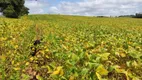 Foto 2 de Fazenda/Sítio com 1 Quarto à venda, 1m² em Zona Rural, Pilar do Sul