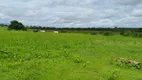 Foto 2 de Fazenda/Sítio com 4 Quartos à venda, 205000m² em Centro, Bom Jesus