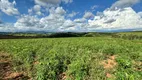 Foto 23 de Fazenda/Sítio com 3 Quartos à venda, 254100m² em Zona Rural, Jacutinga