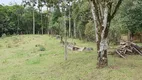 Foto 21 de Fazenda/Sítio com 5 Quartos à venda, 280m² em Borda do Campo, São José dos Pinhais