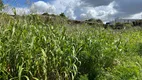 Foto 2 de Lote/Terreno à venda, 318m² em Setor Norte Ferroviario, Goiânia