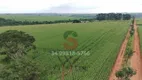 Foto 11 de Fazenda/Sítio com 2 Quartos à venda, 16000000m² em Nova Uberlandia, Uberlândia