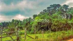 Foto 9 de Fazenda/Sítio à venda, 70000m² em Serra Grande Alema, Gramado