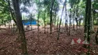 Foto 16 de Fazenda/Sítio com 1 Quarto à venda, 5000m² em Faxina, São José dos Pinhais