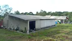 Foto 29 de Fazenda/Sítio com 3 Quartos à venda, 4500m² em Planta Granjas Eldorado, Piraquara