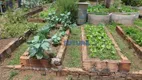 Foto 16 de Fazenda/Sítio com 6 Quartos à venda, 10000m² em Setor de Habitações Individuais Norte, Brasília