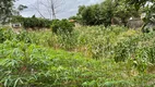 Foto 5 de Lote/Terreno à venda, 1050m² em Bosque dos Pinheiros, Capivari