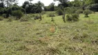 Foto 8 de Fazenda/Sítio à venda, 29040000m² em Zona Rural, Britânia