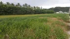 Foto 4 de Fazenda/Sítio à venda, 133000m² em Ribeirão da Ilha, Florianópolis