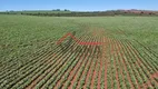 Foto 4 de Fazenda/Sítio à venda, 1210000m² em Area Rural de Itai, Itaí