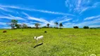 Foto 15 de Fazenda/Sítio com 3 Quartos à venda, 193600m² em Zona Rural, Itaberaí