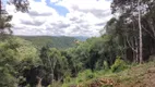 Foto 7 de Fazenda/Sítio com 1 Quarto à venda, 20000m² em São Luiz do Purunã, Balsa Nova