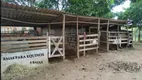 Foto 30 de Fazenda/Sítio com 4 Quartos à venda, 450m² em Recanto das Emas, Brasília