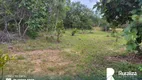 Foto 7 de Fazenda/Sítio à venda, 290m² em Zona Rural, Pium