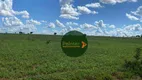 Foto 7 de Fazenda/Sítio à venda, 57930m² em Panorama Parque, Goiânia