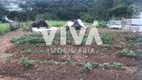 Foto 4 de Fazenda/Sítio com 2 Quartos à venda, 1200m² em Bairro da Roseira, Extrema