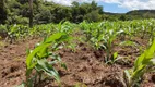 Foto 5 de Fazenda/Sítio com 4 Quartos à venda, 1282600m² em Zona Rural, Rio Quente