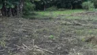 Foto 7 de Lote/Terreno para alugar, 2000m² em Jardim Presidente Dutra, Guarulhos