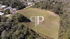 Foto 4 de Lote/Terreno à venda, 5000m² em São Sebastiao, São José dos Pinhais