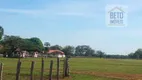 Foto 16 de Fazenda/Sítio à venda, 406000000m² em Zona Rural, Pium