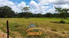 Foto 19 de Fazenda/Sítio à venda, 20000m² em Centro, Jequitibá