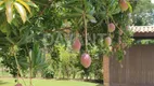 Foto 35 de Fazenda/Sítio com 3 Quartos à venda, 201m² em Vale das Garças, Campinas