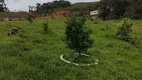 Foto 3 de Fazenda/Sítio à venda, 17000m² em Minas, Ilhota