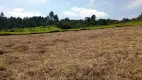 Foto 2 de Lote/Terreno com 1 Quarto à venda, 1000m² em Centro, São Roque