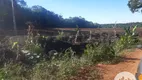 Foto 9 de Lote/Terreno à venda, 6000m² em Rio do Salto, Cascavel