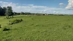 Foto 9 de Fazenda/Sítio à venda, 121100m² em Zona Rural, Porangaba