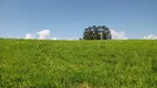 Foto 4 de Fazenda/Sítio com 3 Quartos à venda, 150m² em Zona Rural, Pilar do Sul