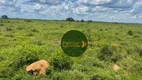 Foto 2 de Fazenda/Sítio à venda, 21054000m² em Zona Rural, Mara Rosa