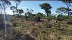 Foto 5 de Fazenda/Sítio à venda, 15000000m² em Centro, São Félix do Araguaia