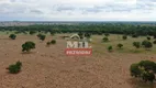 Foto 63 de Fazenda/Sítio à venda, 455m² em Bairro Rural, Novo Planalto